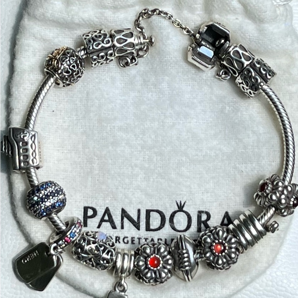 Pandora Silver Charm Bracelet with Intricate Designs